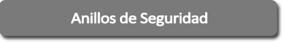 Anillo Seguridad